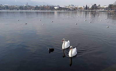 swiss18