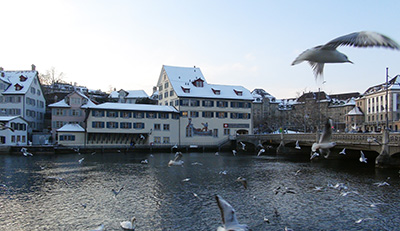 swiss19