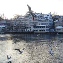 Zurich-2013