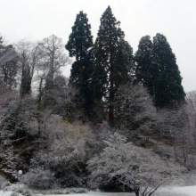 Германия, Baden-Baden - 2013