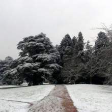 Германия, Baden-Baden - 2013