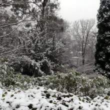 Германия, Baden-Baden - 2013