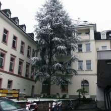 Германия, Baden-Baden - 2013