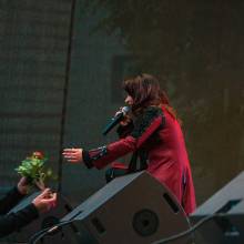 Боровичи - 2017